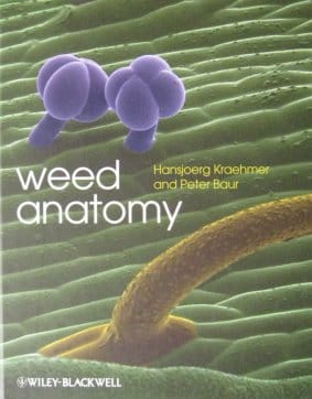 Weed anatomy in the spotlight