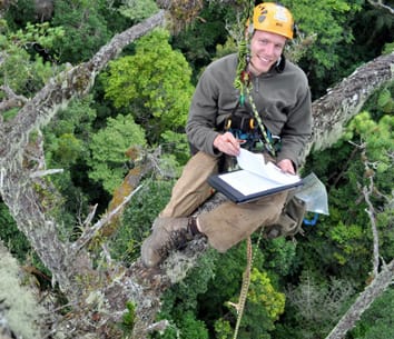 Changes in the distribution of mechanically dependent plants along a gradient of past hurricane impact