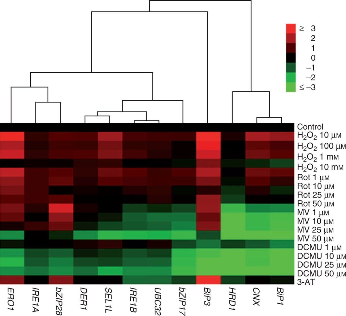 Hierarchical clustering and heat map of ER stress-related genes in leaves treated with H2O2, Rot, MV, DCMU and 3-AT (average