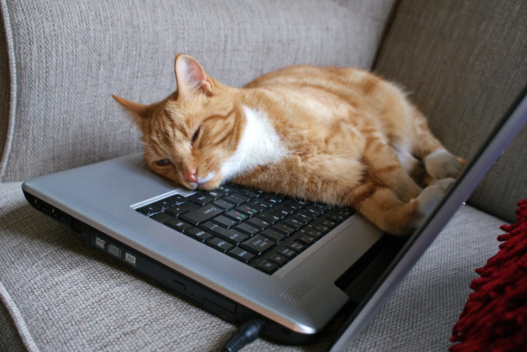 BloggingFatigue