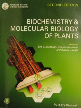 The Beast is released…