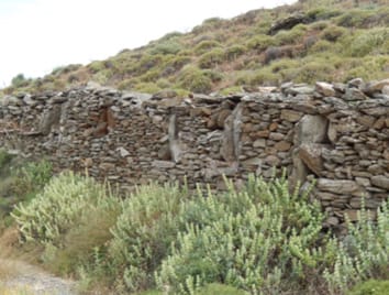 Climate change reduces nectar secretion in two common Mediterranean plants