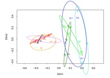 Composition of fungal soil communities varies with plant abundance and geographic origin
