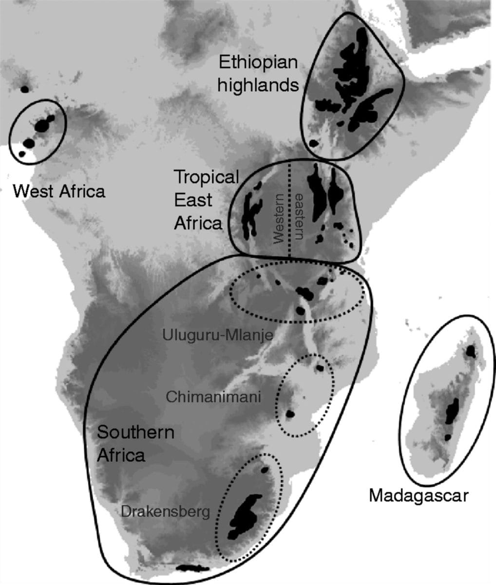 Distribution of Afrotemperate (Afromontane and Afroalpine) regions in Africa adapted from Gehrke and Linder (2014) based on W