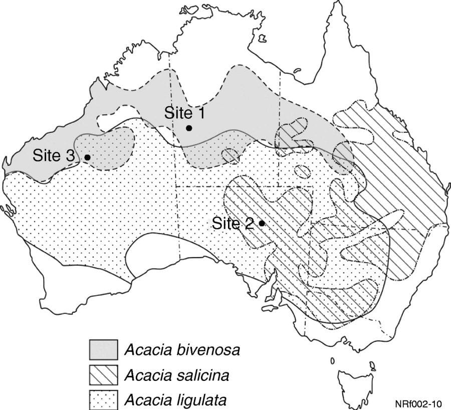 Spatial distributions of the most dominant A. bivenosa group members, adapted from Moore (2005). Vegetation survey locations