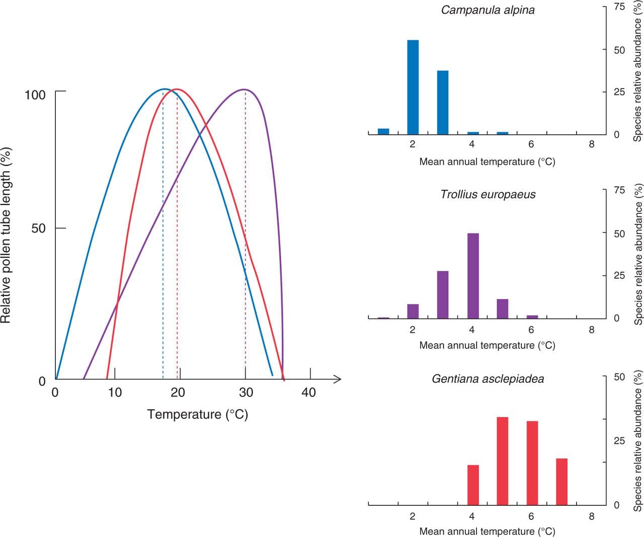 Differences in the temperature requirements for PTG of three species (Campanula alpina, Trollius europaeus and Gentiana ascle