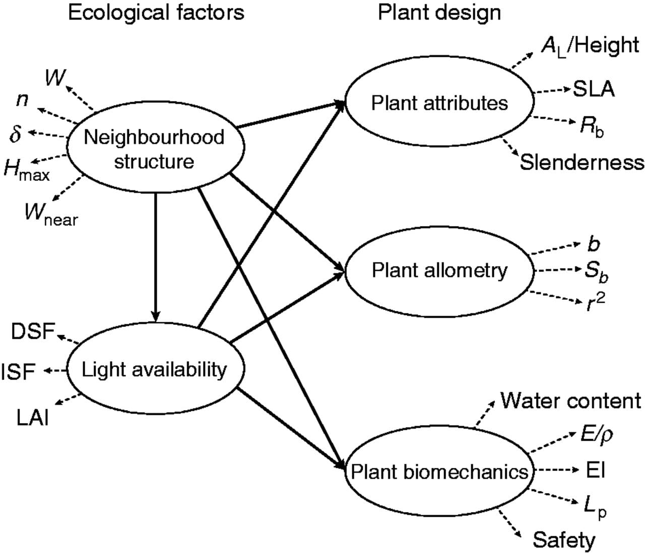 Partial least squares path model to test the effect of ecological factors on plant design. Solid and dashed lines represent t