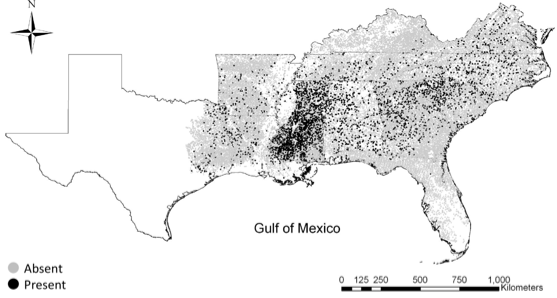 Range expansion of invasive shrubs: implication for crown fire risk in forestlands of the southern United States