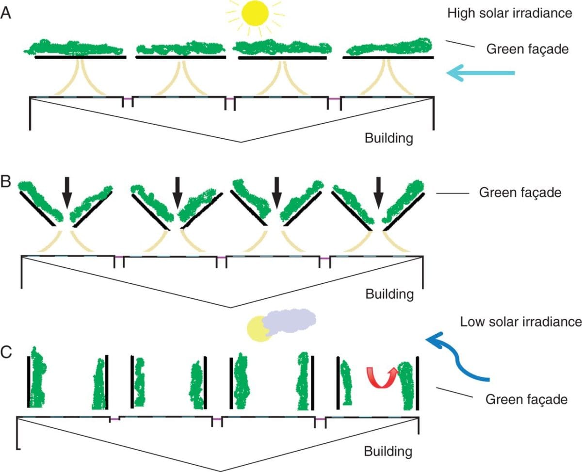 ‘Mobile’ green façade system used to alter temperature on the southern wall (northern hemisphere) of a single-storey building