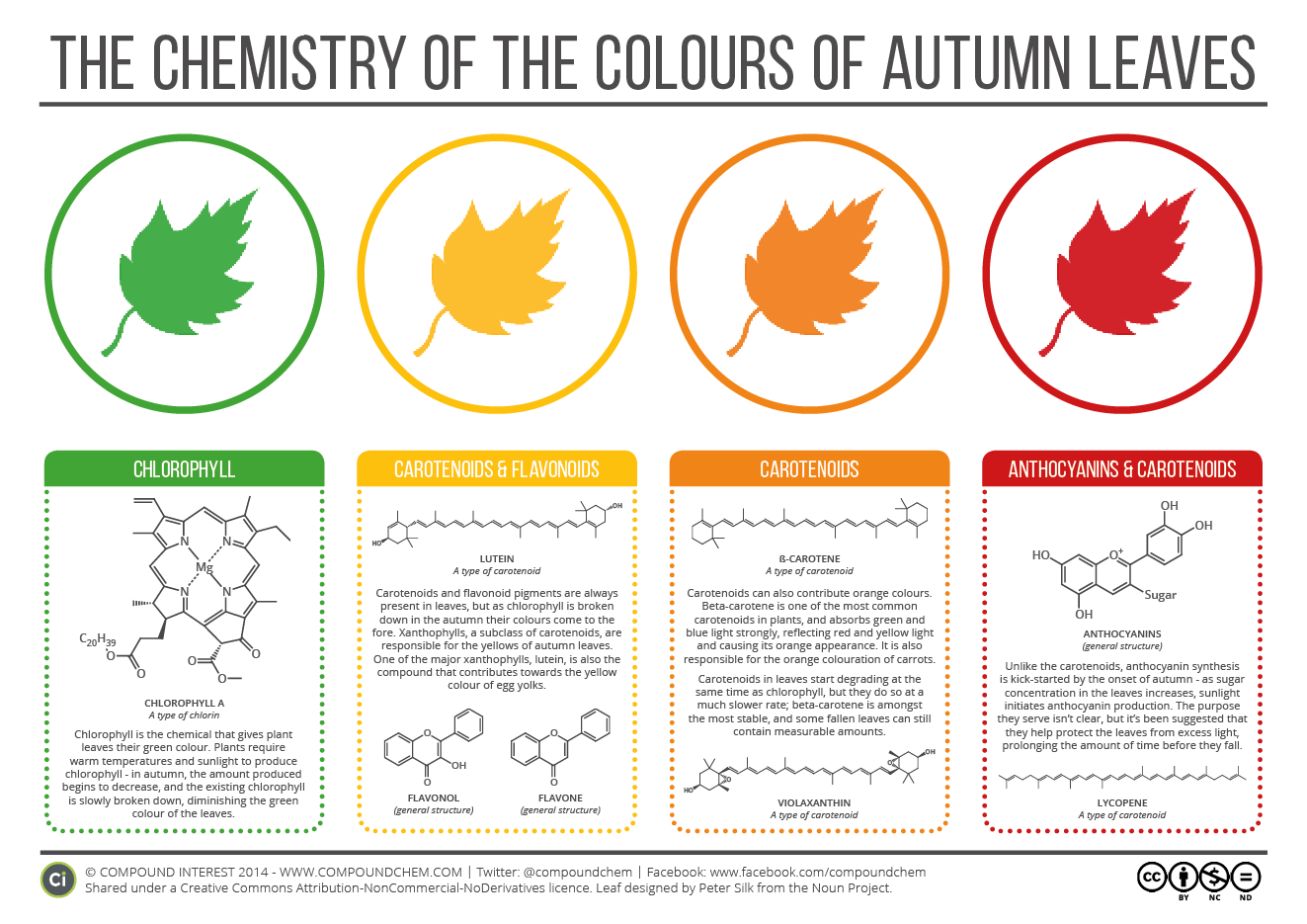 The Chemistry of Leaves.