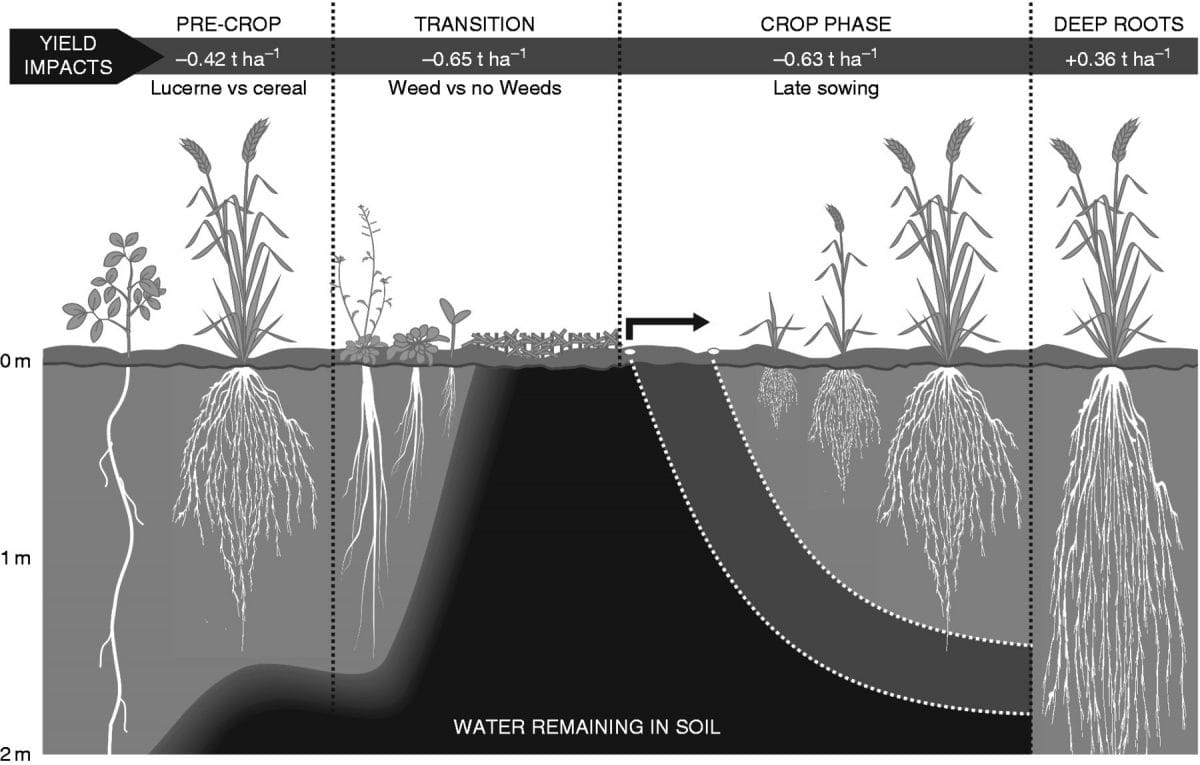 diagram showing the impact of different management options