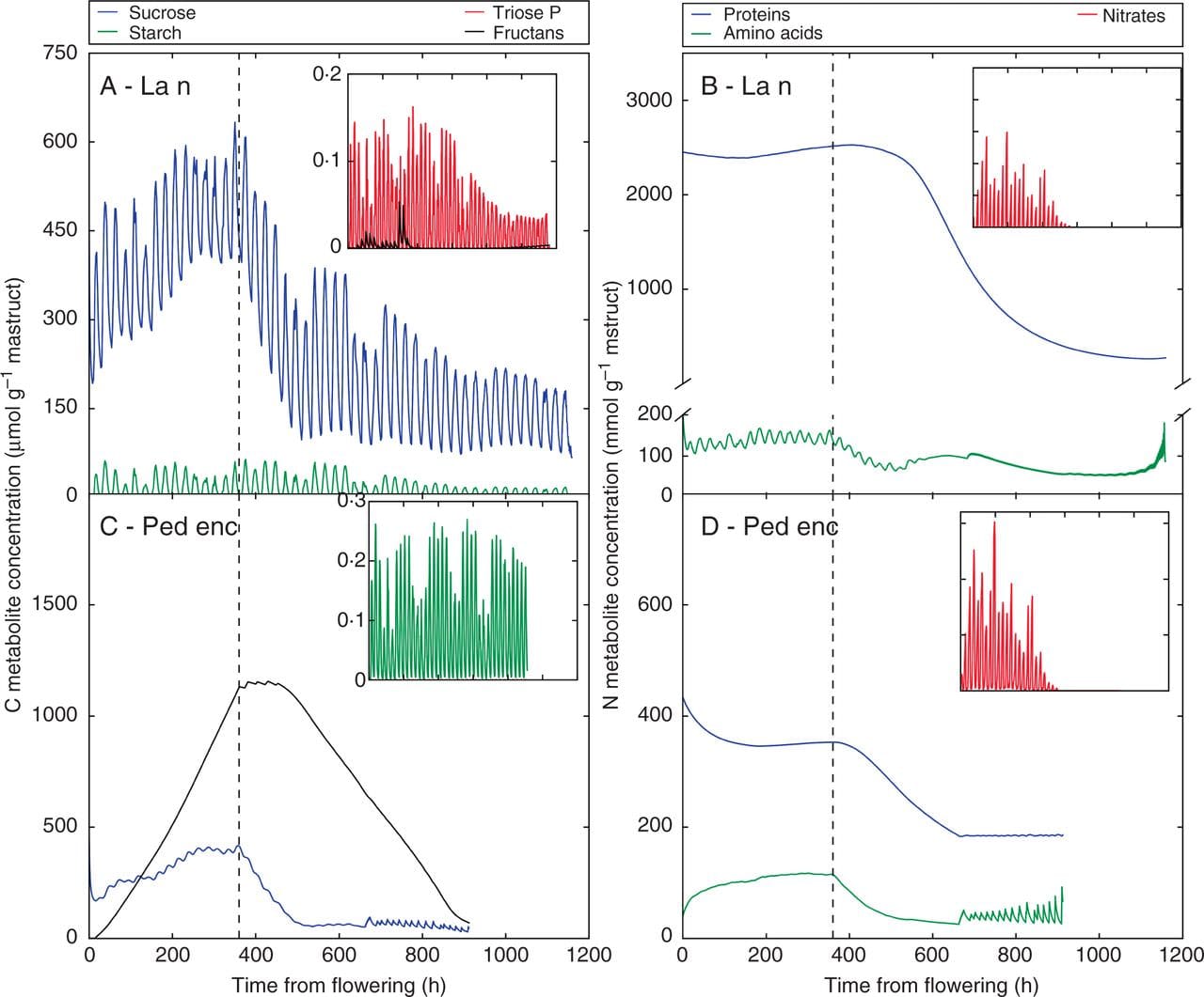 Detailed metabolite concentrations for C (left panels) and N (right panels) for two examples of photosynthetic organs