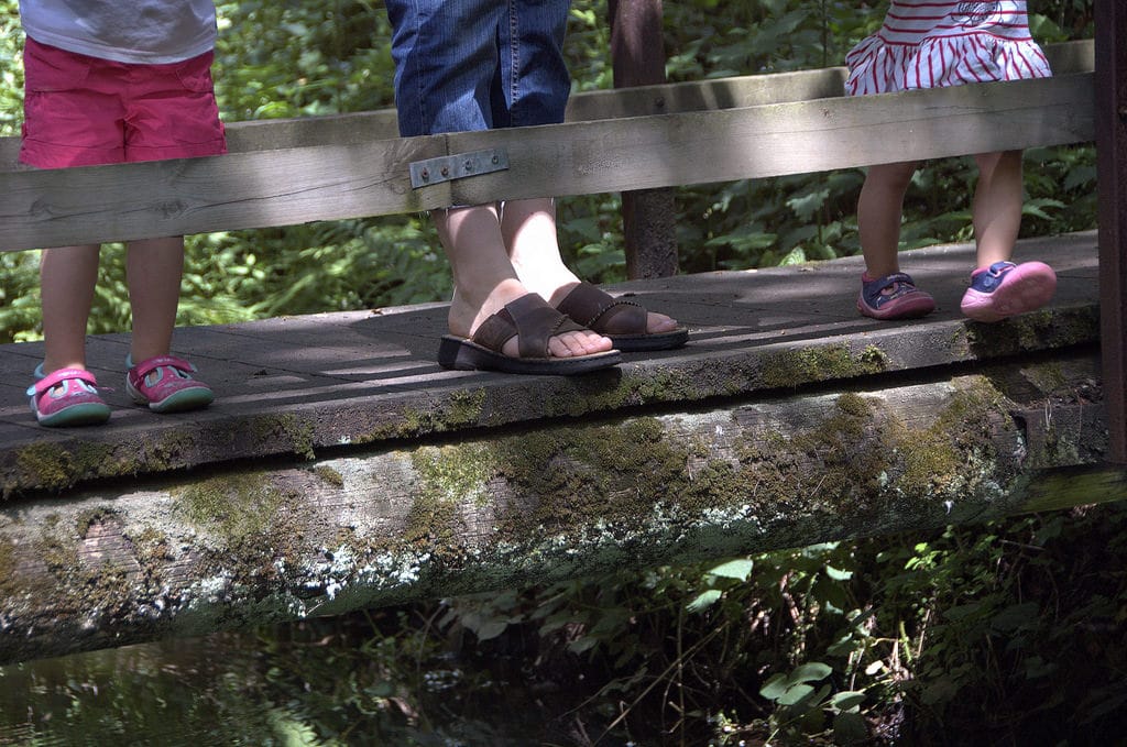 Pooh sticks.