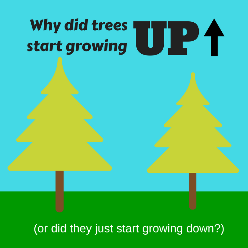 Why did trees start growing up?