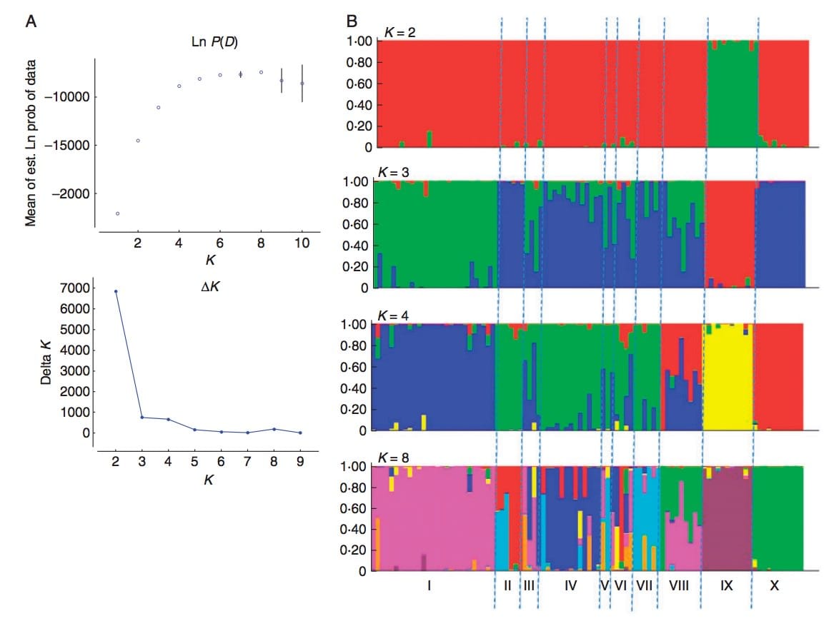 Results obtained from STRUCTURE for the analysis of the full wild sample (94 individuals)