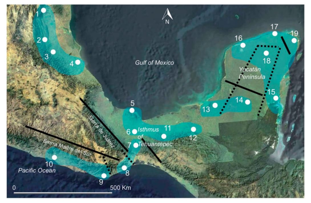 The six genetic clusters (in blue) inferred from GENELAND using DNA microsatellite loci of natural populations of Carica papa