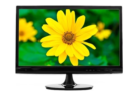 Recent Botany Videos