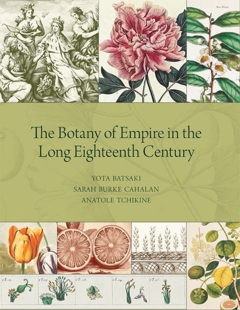 Botany in the 317 years-long century…