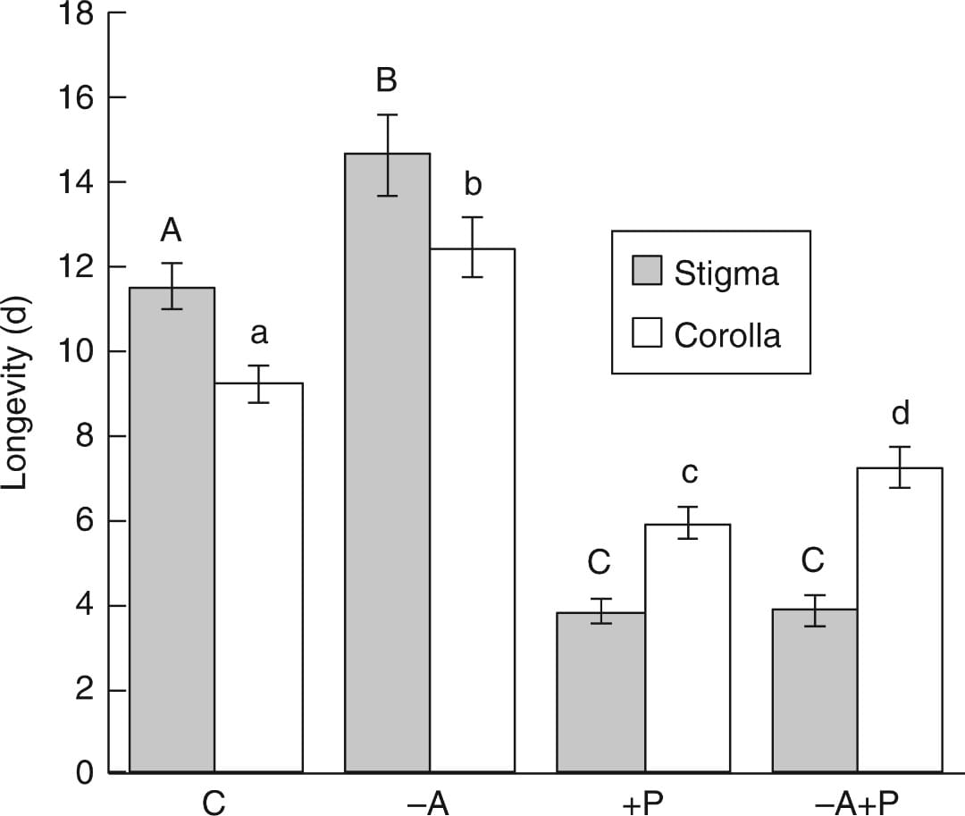 Floral longevity measured as time (d) until wilt of stigma (grey bars) and corolla (white bars), under different pollination