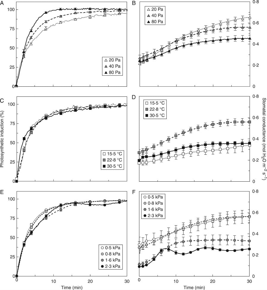 Photosynthetic induction and stomatal conductance in dark-adapted tomato leaves.