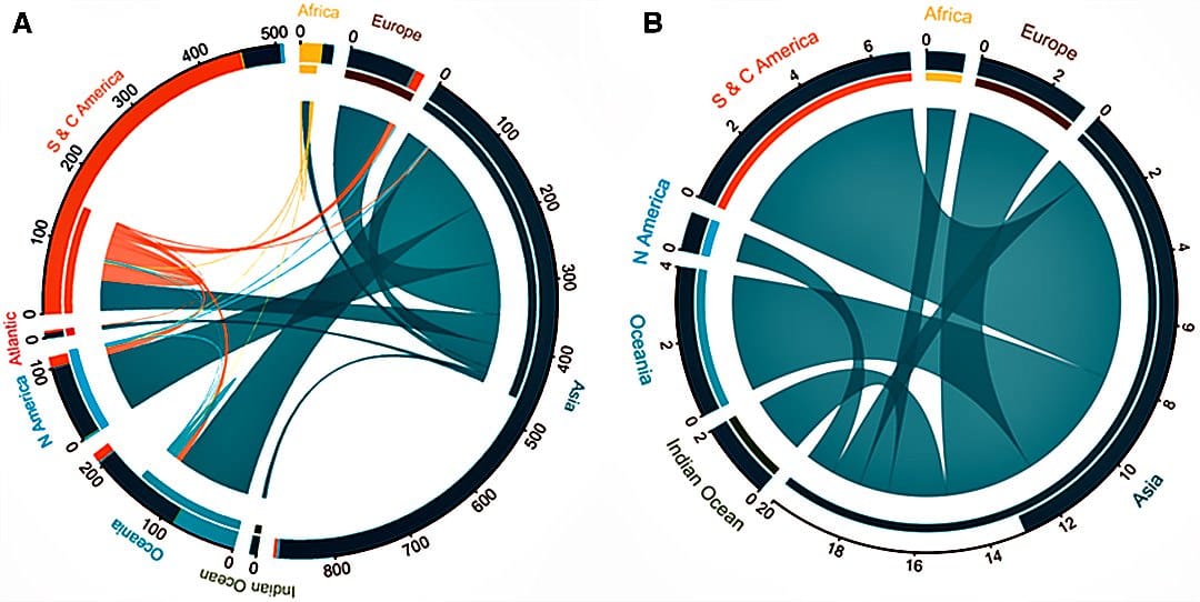 The global exchange of (A) introduced and (B) invasive bamboos relative to their native range.