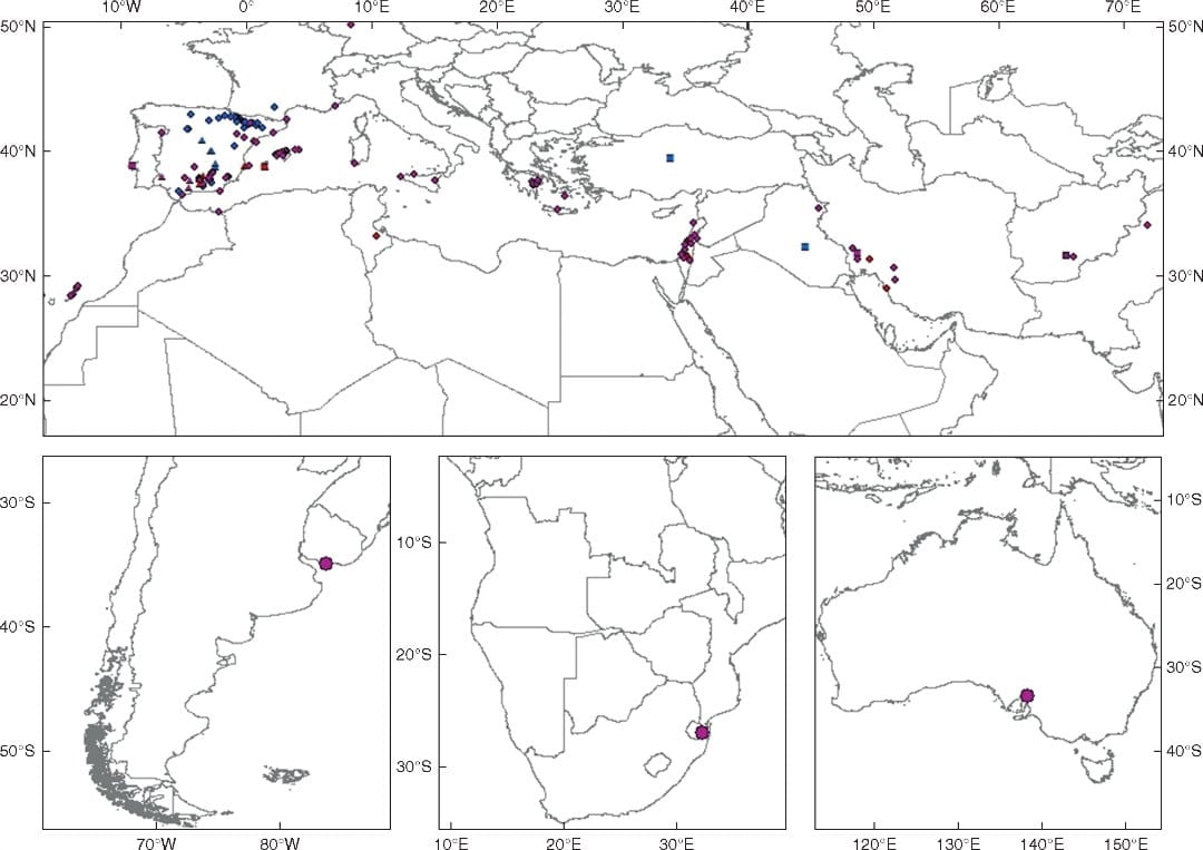 Geographical distribution of B. distachyon (blue), B. stacei (red) and B. hybridum (purple) samples used in the phenotypic an