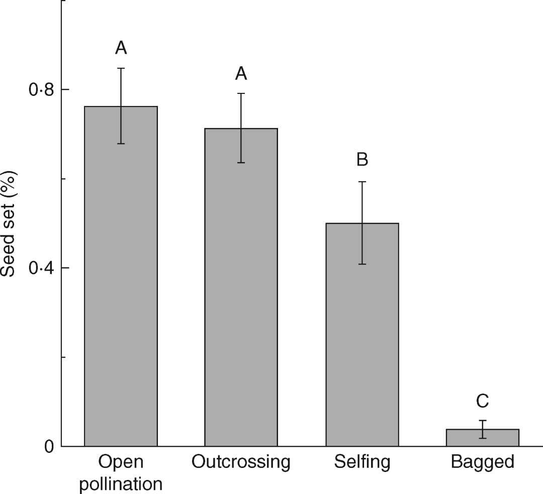 Mean seed set (± s.e.) of Salvia przewalskii under four different pollination treatments: open pollination, outcrossing, self