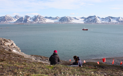 Plant conservation genetics in an Arctic archipelago