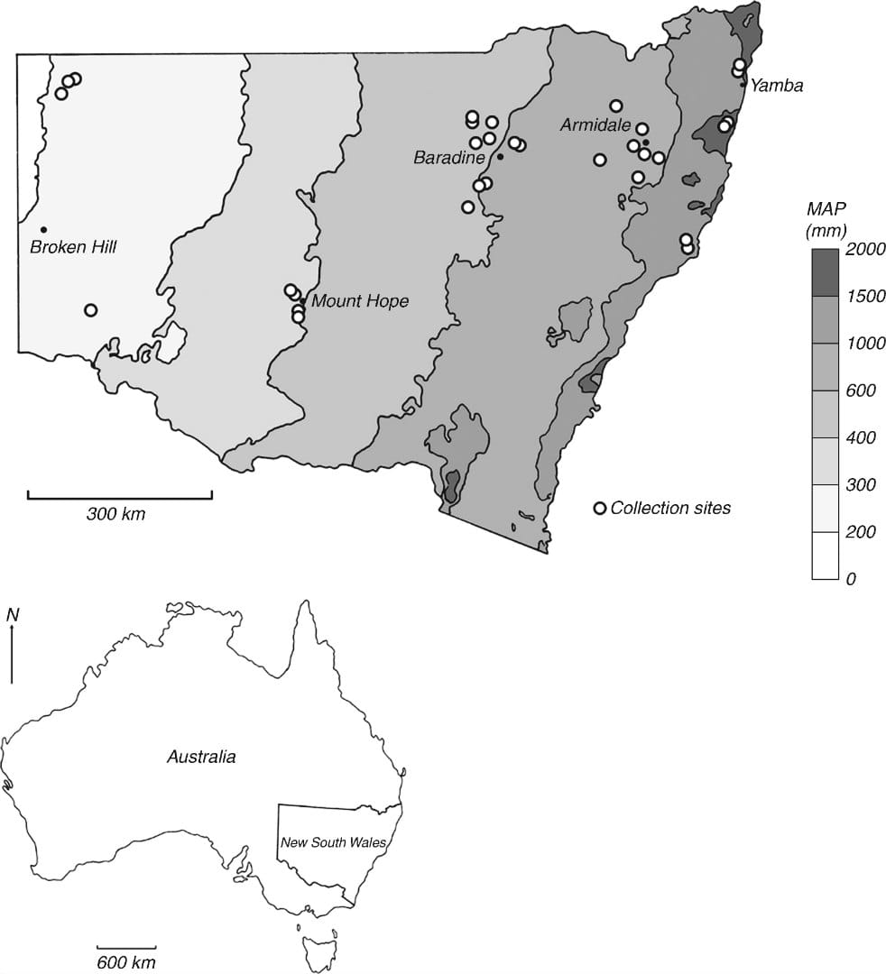 Mean annual precipitation (MAP) (mm) map of New South Wales, Australia with collection sites (open circles) (modified from Bu