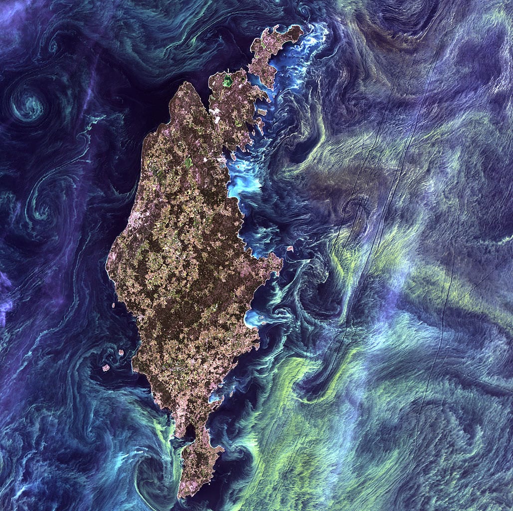 massive congregations of greenish phytoplankton swirl in the dark water around Gotland