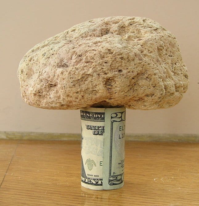 Pumice on 20 dollars