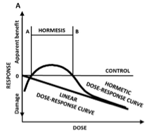 Antibiotics impact plant traits