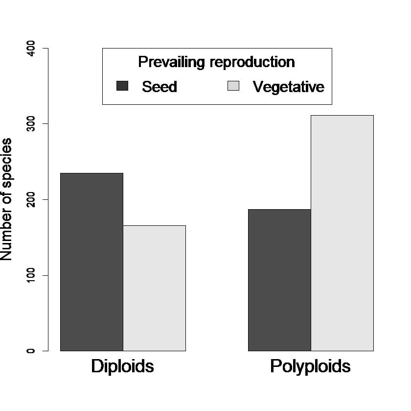 Vegetative reproduction enhances polyploid speciation