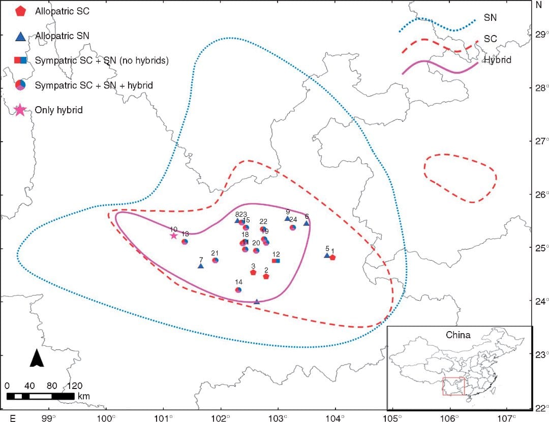 Geographical distribution of 24 Rhododendron populations used in this study outlined in the geographical distribution range o