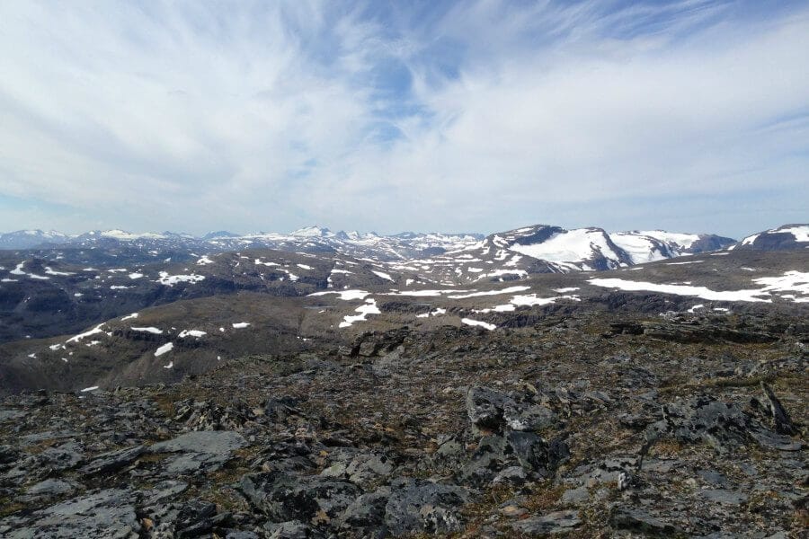 Lichen in the mountains