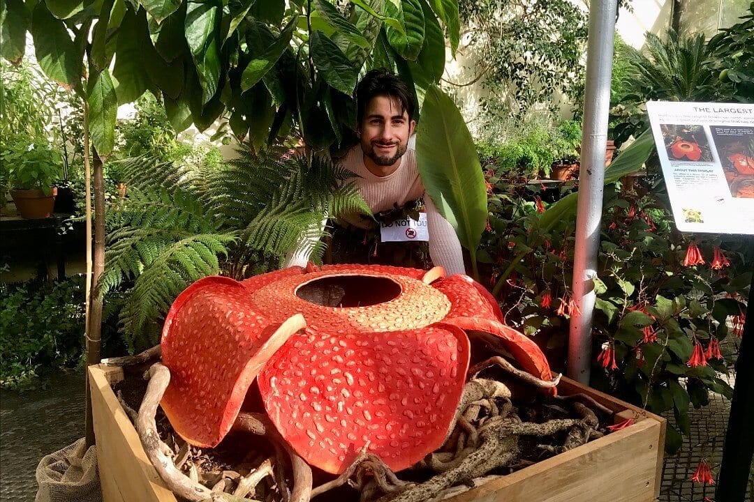 Dr Chris Thorogood and his 3D oil-painting of Rafflesia arnoldii.