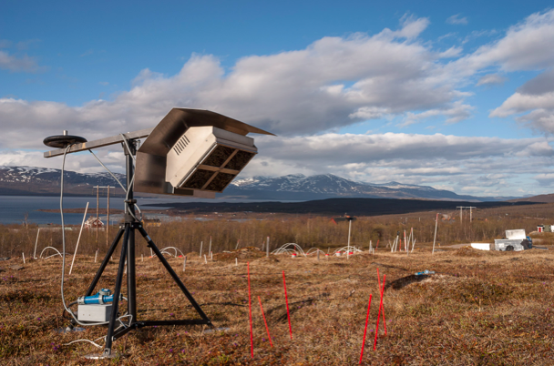 Effects of warming and N addition on seedling establishment in tundra