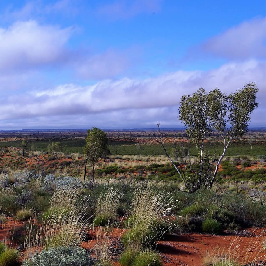 Not a burning landscape.