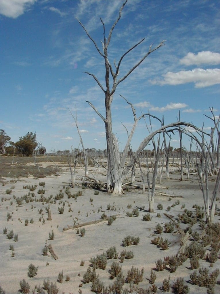 The consequences of salinisation and flooding