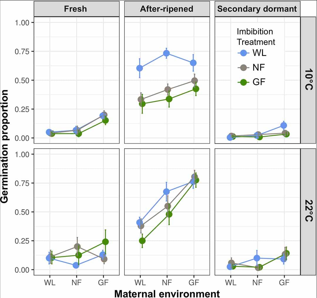 Effect of maturation under white light, a neutral filter and a green filter on germination of seeds