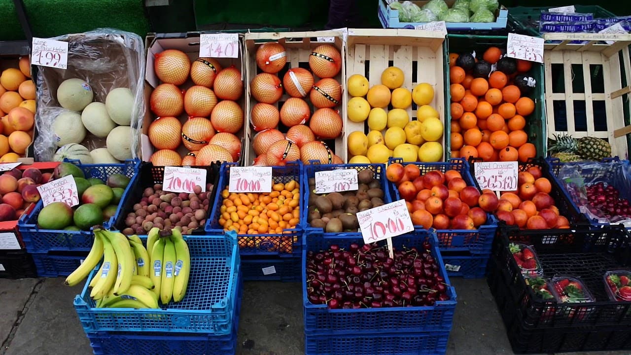 Raising awareness of plant blindness