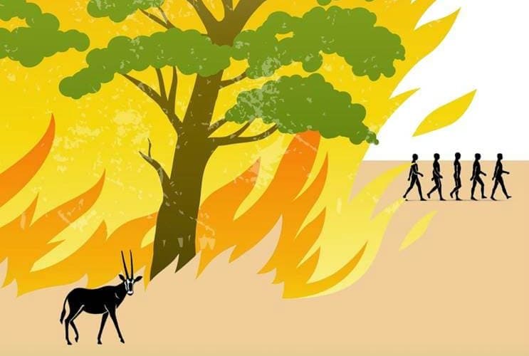 The War Between Trees and Grasses by Howard Thomas: The Book I wished I’d had as an Undergraduate.