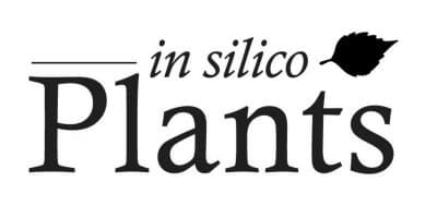 in silico Plants launches today!