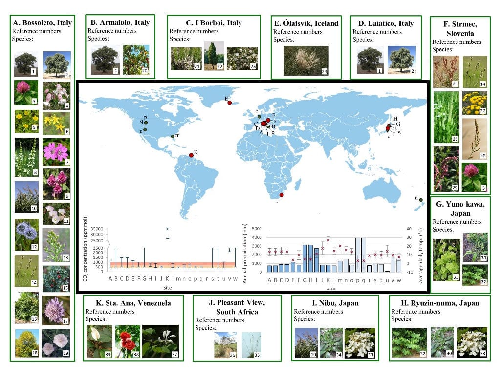Natural high CO2 springs across the world