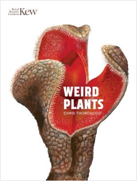 Plants are weird – and rather wonderful too!