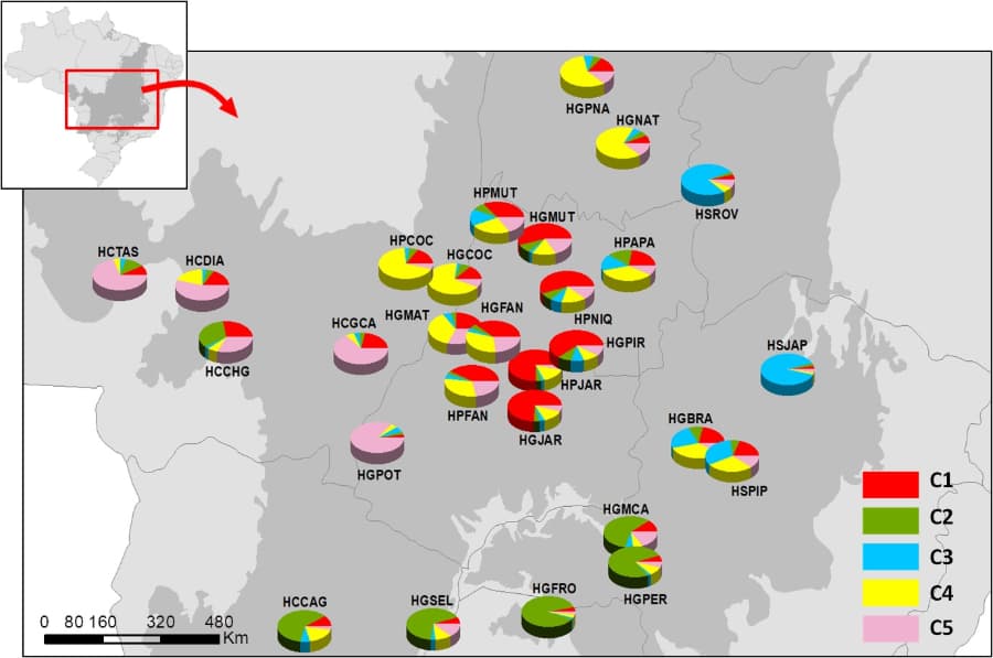 A map of genetic distribution