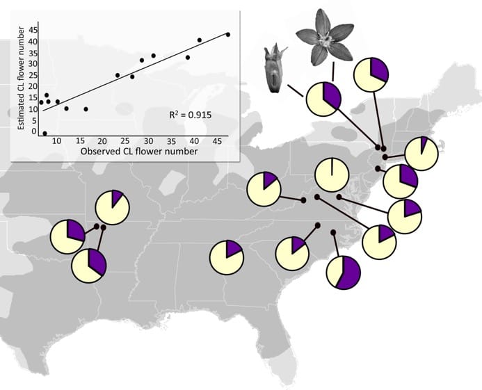 The range of the study species and model fits
