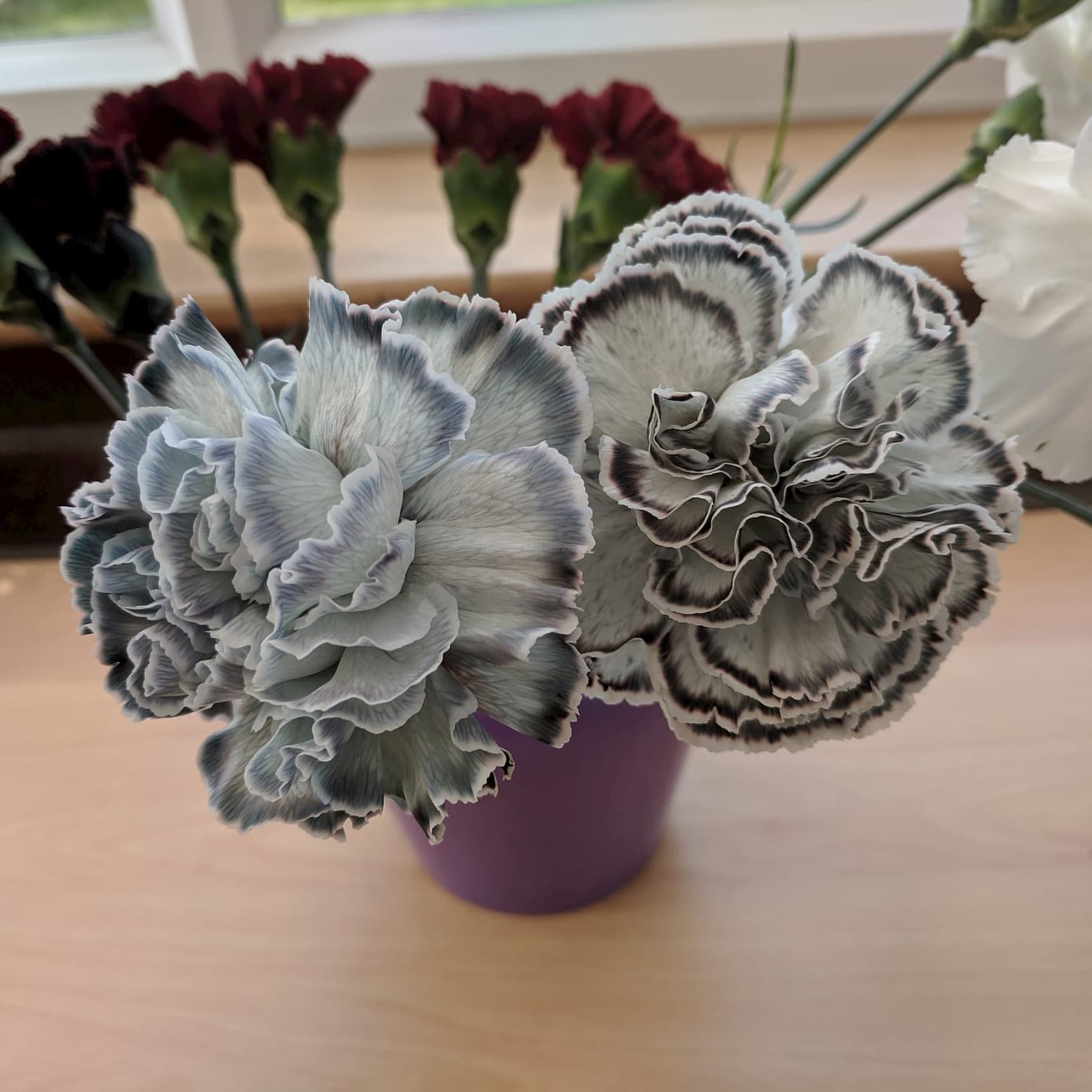 An impatient person’s guide to making black flowers