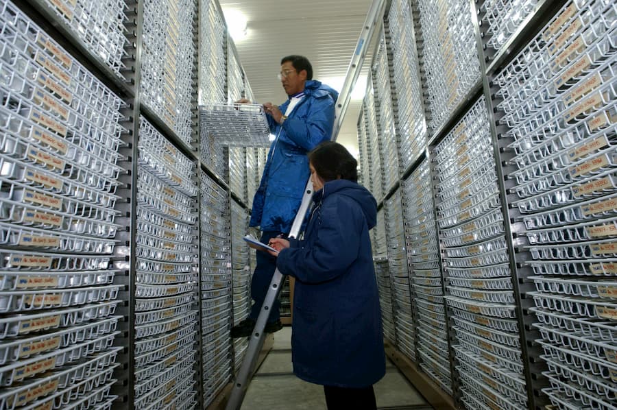 Inside the genebank