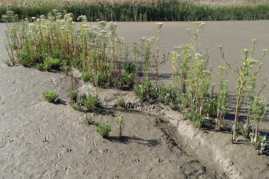 Even a small change in topography can help tides drive an oxygen pump